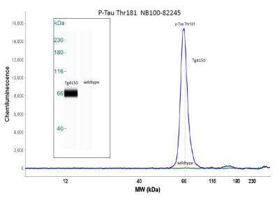 Simple Western: Tau [p Thr181] Antibody [NB100-82245]